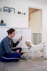 DogSpace - Lucky - przykręcana bramka dla psa, czarna (62.5-106cm)