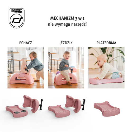 SCOOTANDRIDE - My First Ewolucyjny jeździk pchacz 3w1 6 m+ Rose